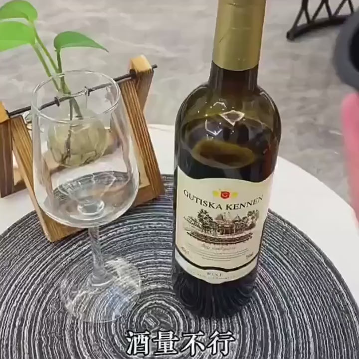 TAPON AL VACIO PARA BOTELLA VINO